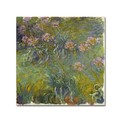 Trademark Fine Art Claude Monet 'Agapanthus' Canvas Art, 24x24 BL01529-C2424GG